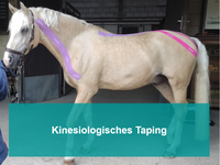 Kinesiologisches Taping