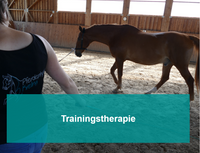 Trainingstherapie